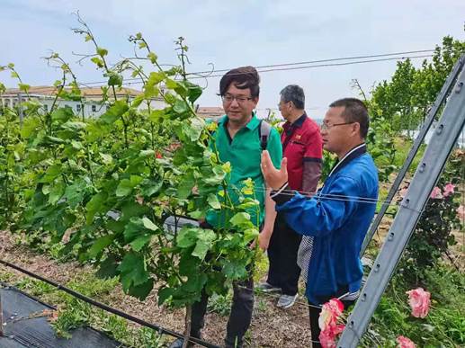 1629874777712.jpg clip_image002.jpg